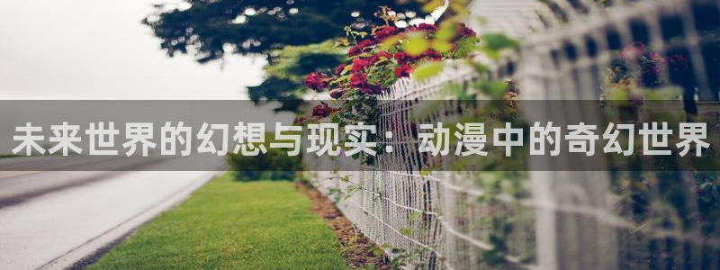 51动漫 免费：未来世界的幻想与现实：动漫中的奇幻世界
