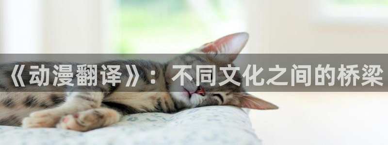 樱花动漫51动漫：《动漫翻译》：不同文化之间的桥梁