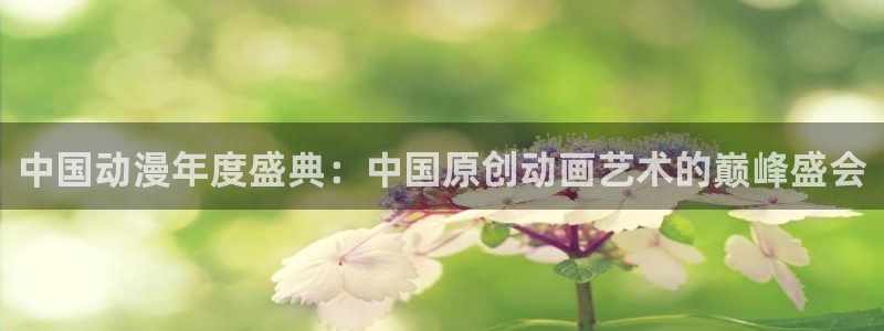 www51动漫：中国动漫年度盛典：中国原创动画艺术的巅峰盛会