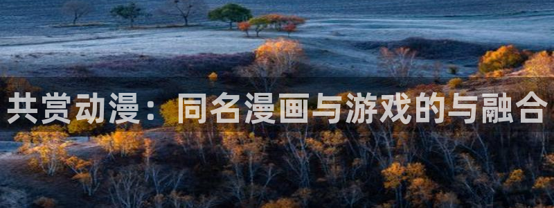 51动漫官网在线观看：共赏动漫：同名漫画与游戏的与融合