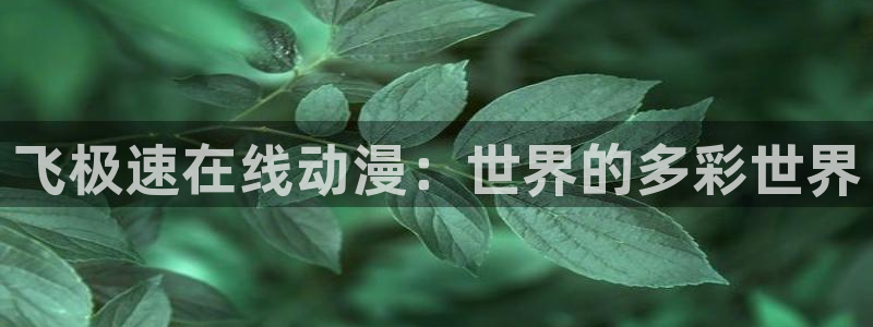 51动漫官网.：飞极速在线动漫：世界的多彩世界