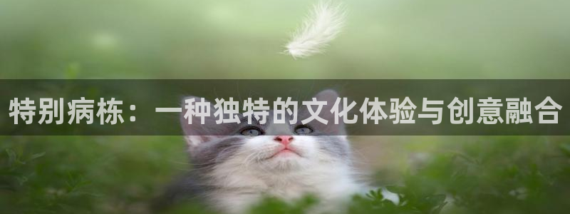 51动漫进入：特别病栋：一种独特的文化体验与创意融合
